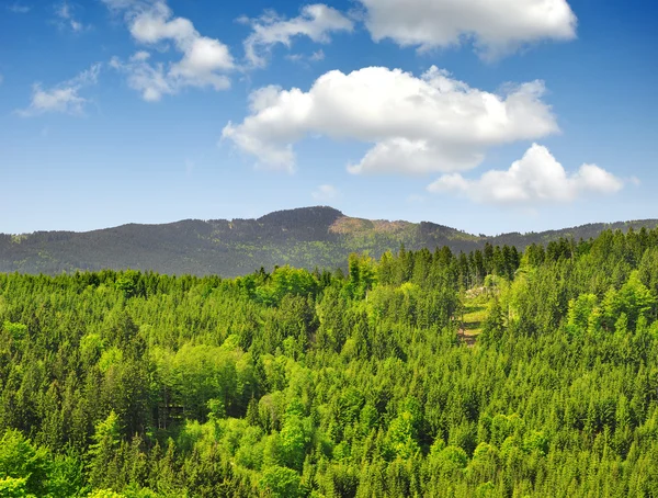 Våren landskapet i nationalparken sumava - Tjeckien — Stockfoto