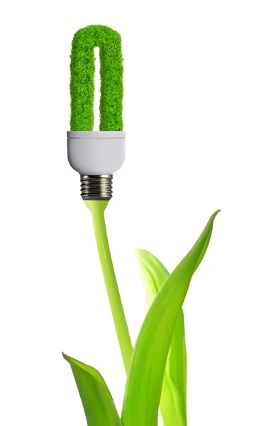 Eco energie lamp geïsoleerd — Stockfoto