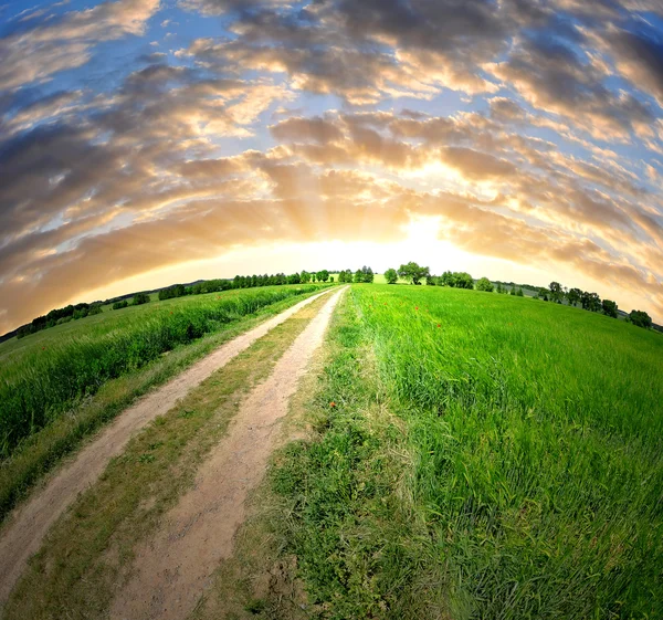 Veld in de zonsondergang — Stockfoto