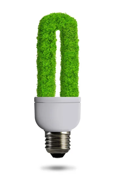 Eco energy bulb — Stock Photo, Image
