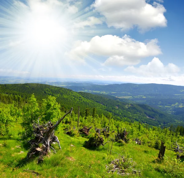 Národní park Šumava — Stock fotografie