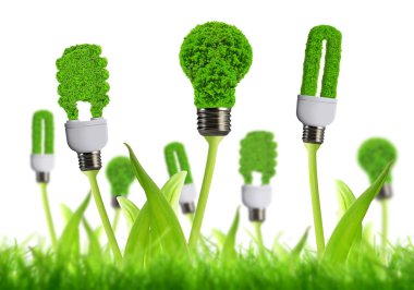 eko enerji ampulü
