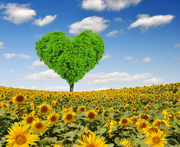 tree from the shape heart