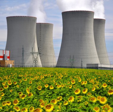 Nükleer enerji santrali