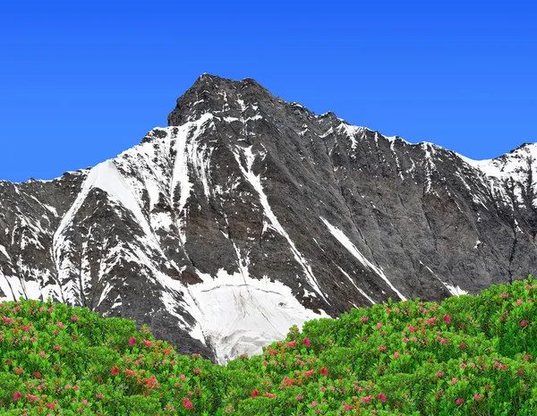 Taschhorn Góra — Zdjęcie stockowe