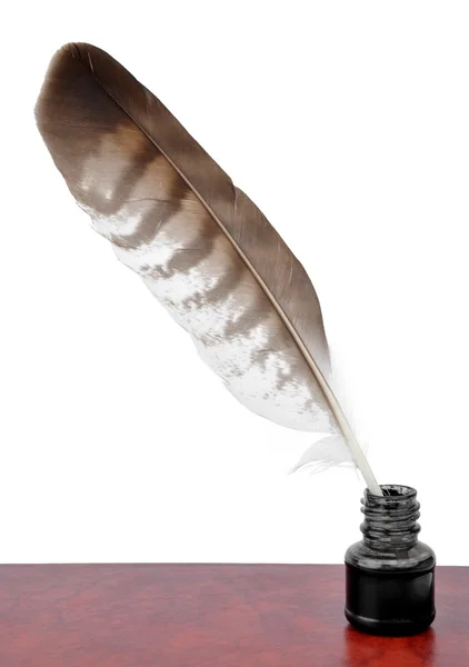 깃털과 잉크 병 — 스톡 사진