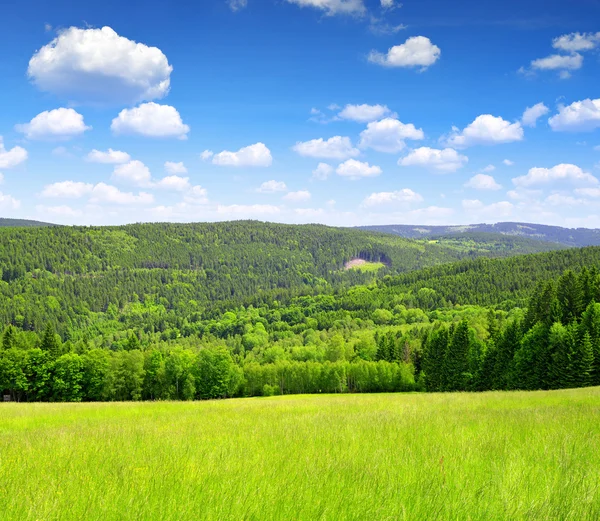 Paisaje primavera — Foto de Stock