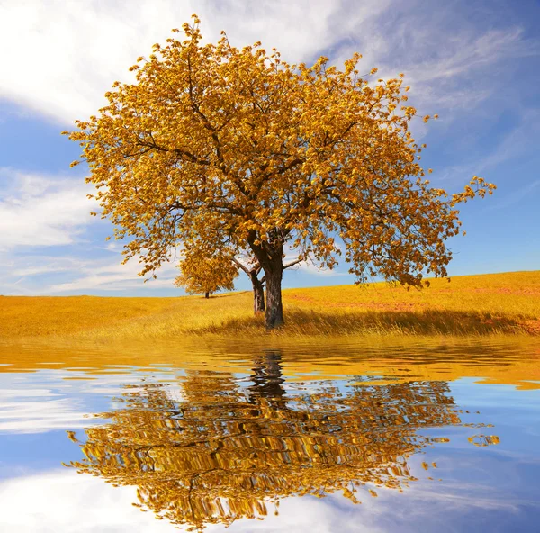 Paisagem de outono — Fotografia de Stock