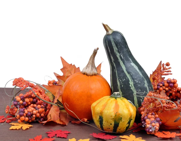 Harvested pumpkins — Stock Photo, Image