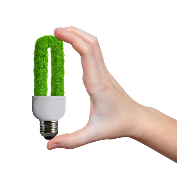 Eco žárovka v ruce — Stock fotografie