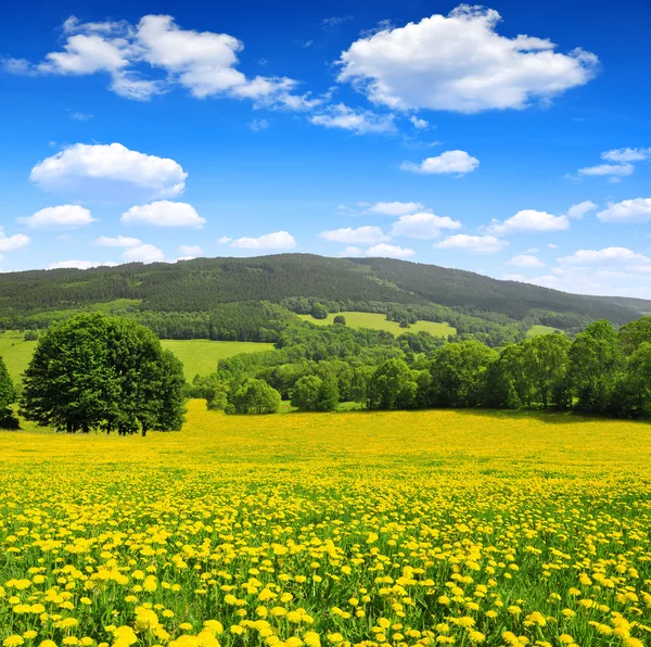 Paisagem Primavera — Fotografia de Stock