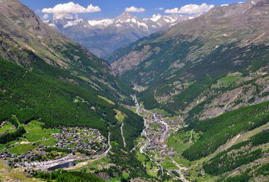SaaS fee ve saas grund, İsviçre