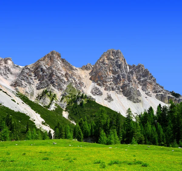 Dolomiten - Italien — Stockfoto