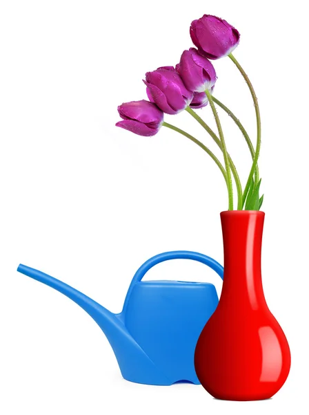 Tulipani viola freschi in vaso — Foto Stock