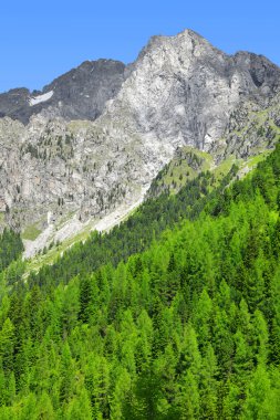 riesenfernergruppe dağ
