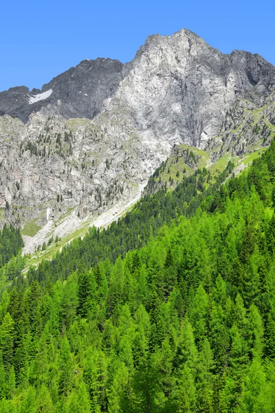 Riesenfernergruppe mountain range — Stock Photo, Image