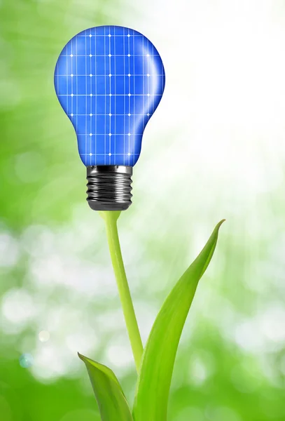 Lampadina eco-energetica — Foto Stock