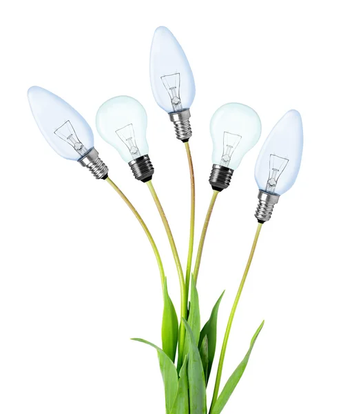 Light bulbs on plant — Stock Photo, Image