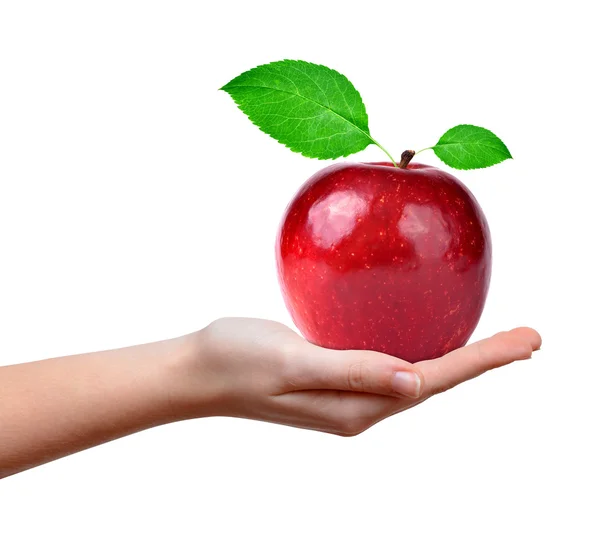 Red apple in hand — Stock Photo, Image