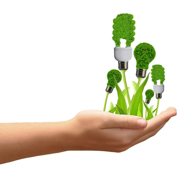 Eco energi lampor i hand — Stockfoto