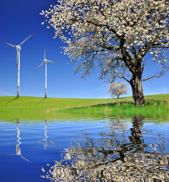 Albero di primavera con turbine eoliche — Foto Stock