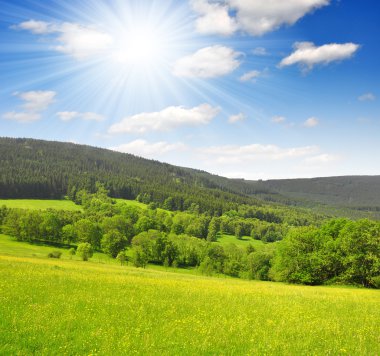 milli park sumava - Çek Cumhuriyeti