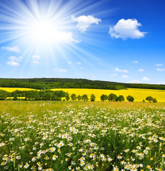 Paesaggio di primavera — Foto Stock