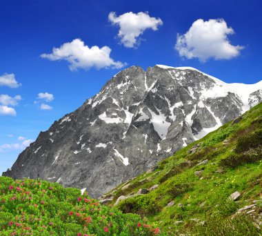 Mount hochgall, south tyrol, İtalya