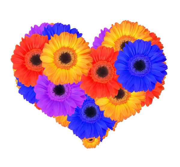 Cuore da fiori di gerbera — Foto Stock