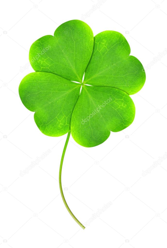 Green clover leaf