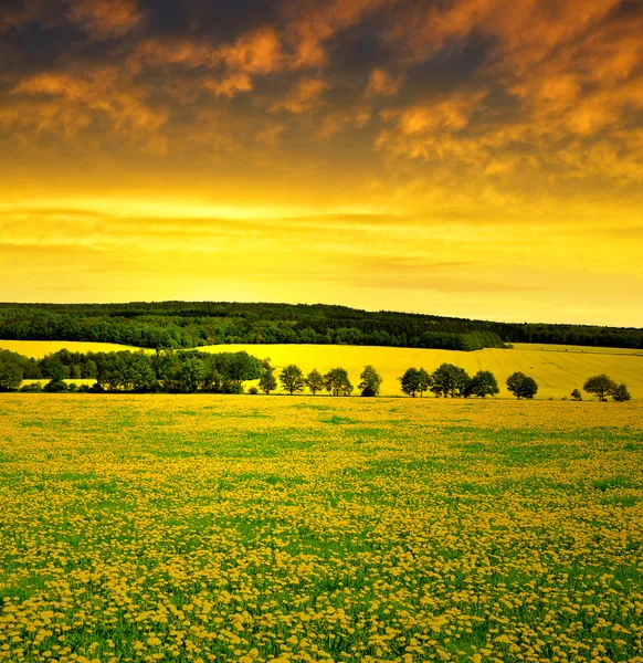 Paisagem Primavera — Fotografia de Stock