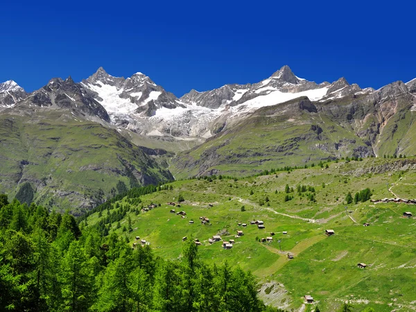 Schweizer Alpen — Stockfoto