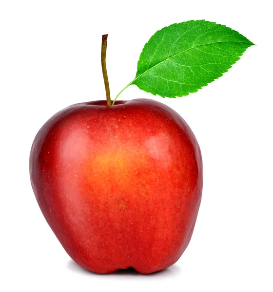 Manzana roja — Foto de Stock