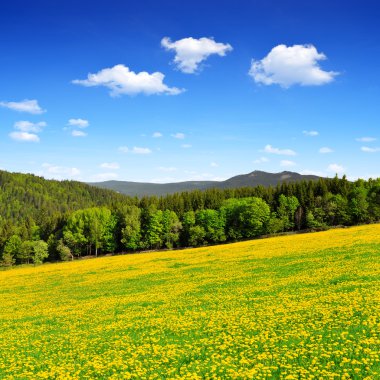 milli park sumava - Çek Cumhuriyeti