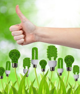 Yeşil enerji kavramı