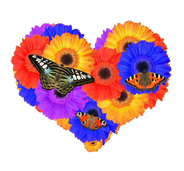 Srdce z květů gerbera — Stock fotografie