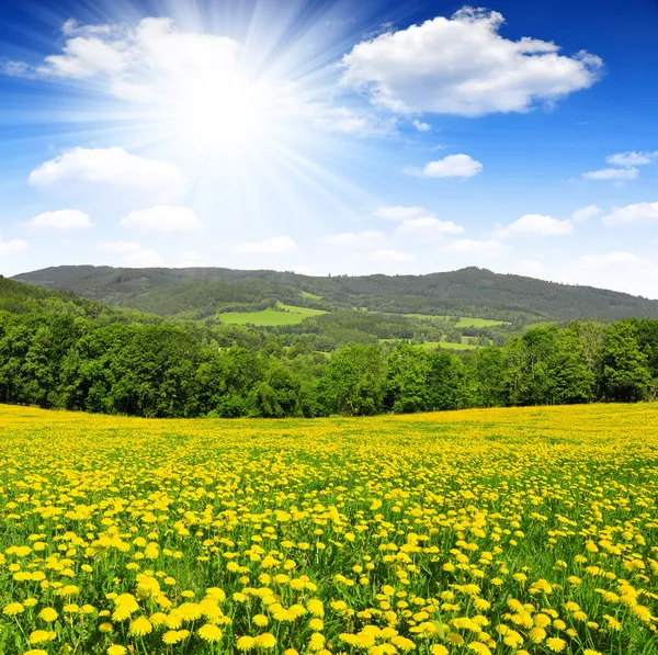 Våren landskap — Stockfoto