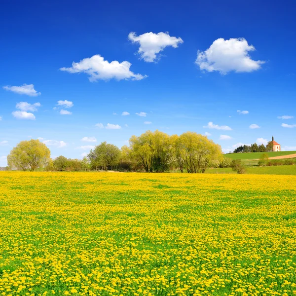 Våren landskap — Stockfoto