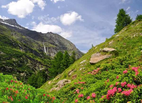 Valley Saastal - Swiss Alps — Stock Photo, Image