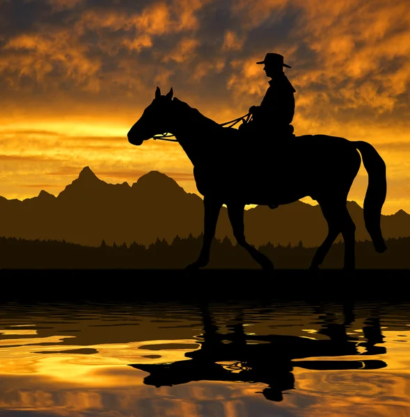 Silhouette cowboy with horse — Stock Photo, Image