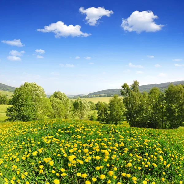 Våren landskap — Stockfoto