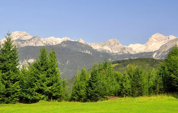 Julian Alps, Slovenia — 图库照片