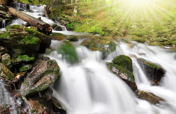 Bergkreek — Stockfoto