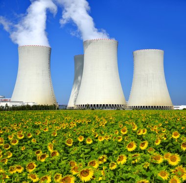 Nükleer enerji santrali