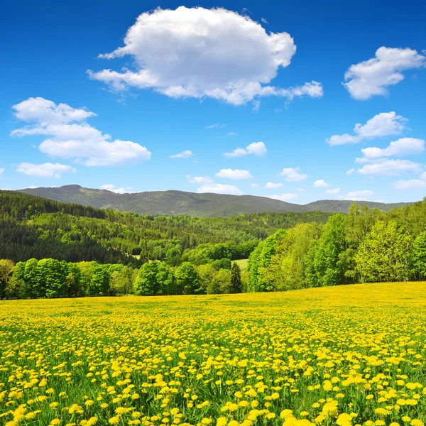 Paesaggio di primavera — Foto Stock