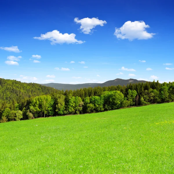 Våren landskap — Stockfoto