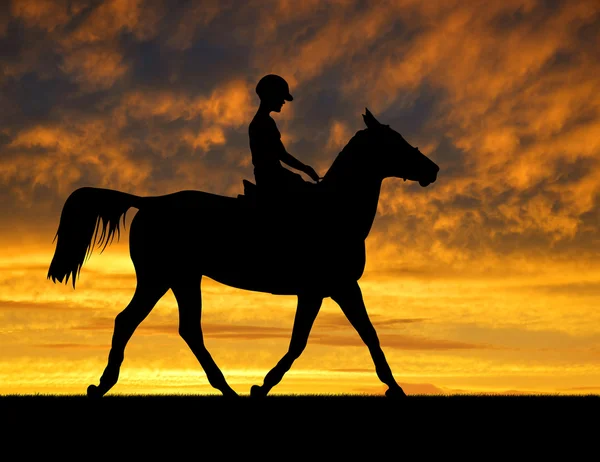 Silhouette eines Reiters auf einem Pferd — Stockfoto