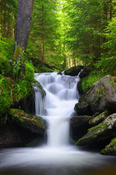 Gebirgsbach — Stockfoto