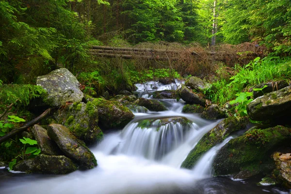 Bergkreek — Stockfoto