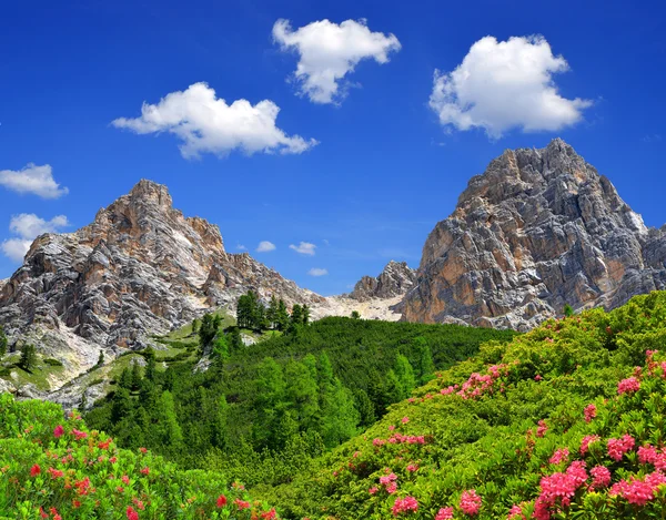 Dolomieten - Italië — Stockfoto